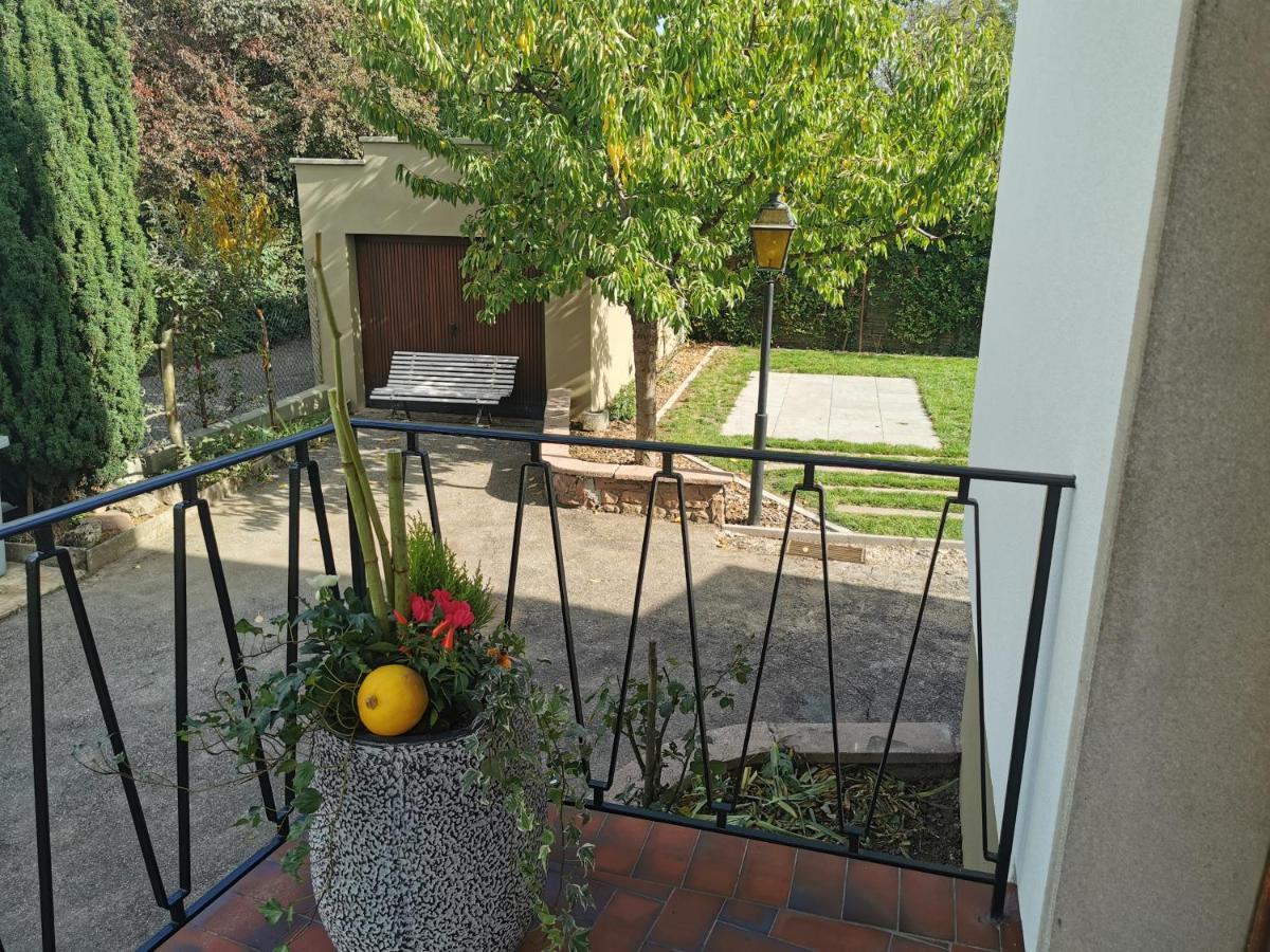La Maison De Lucie - Grande Maison Ideale En Famille Ou Entre Amis - Jardin - Parking Gratuit Sélestat Exterior foto